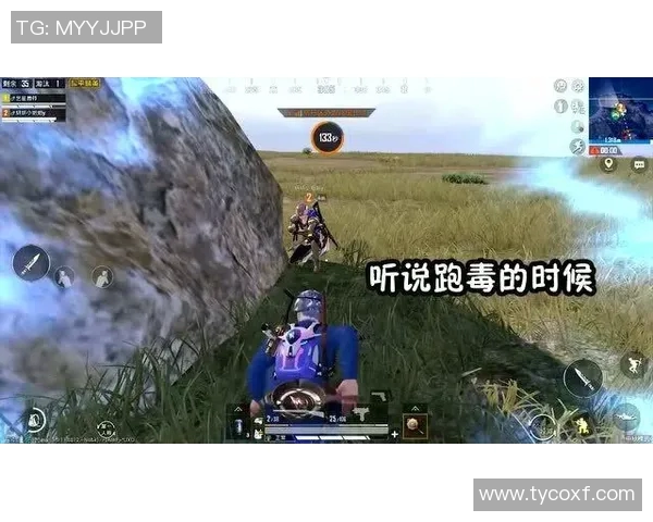 和平精英V5版本深度解析：探索新力量与战术革新之路